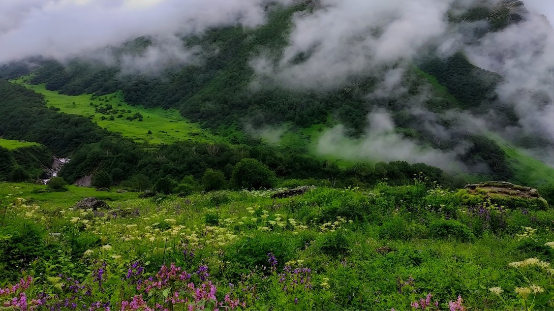 Valley of Flowers Trek 
