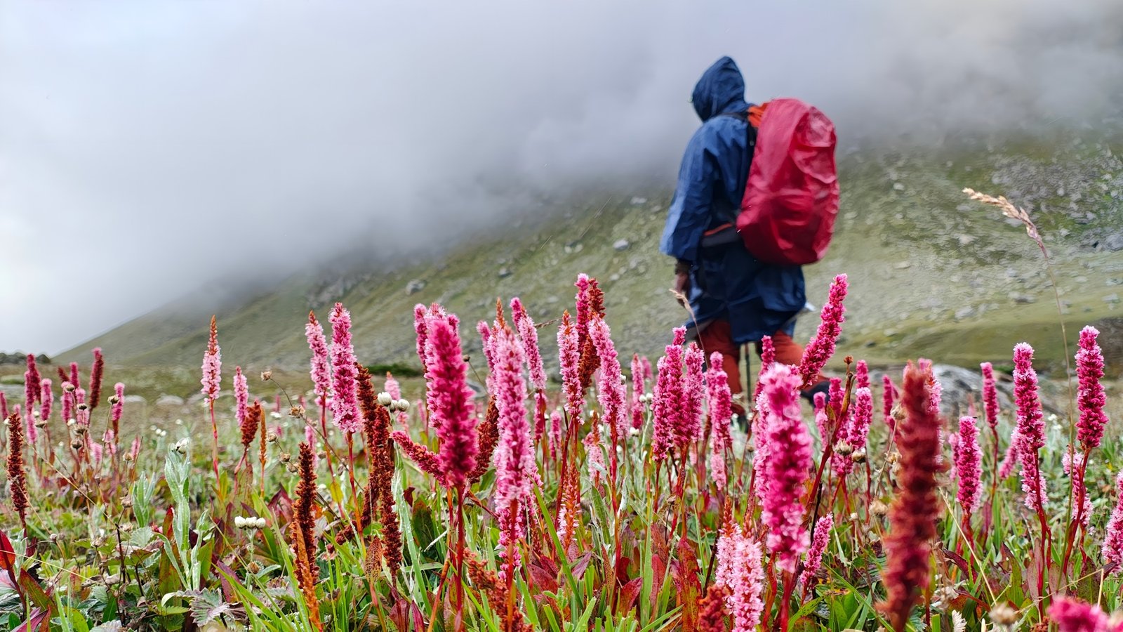 Pin Parvati Pass Trek
