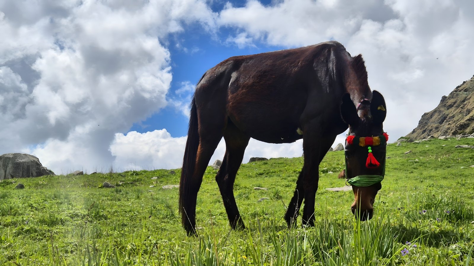 Har Ki Doon Trek Gallery