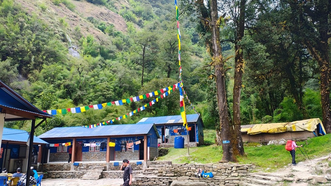 Annapurna Basecamp Trek Gallery 