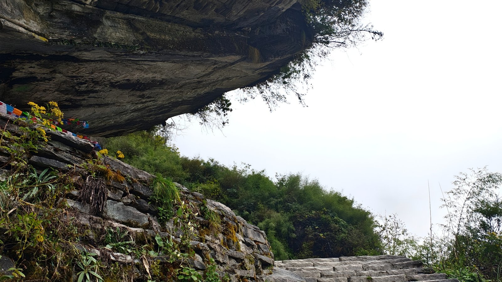 Annapurna Basecamp Trek Gallery 