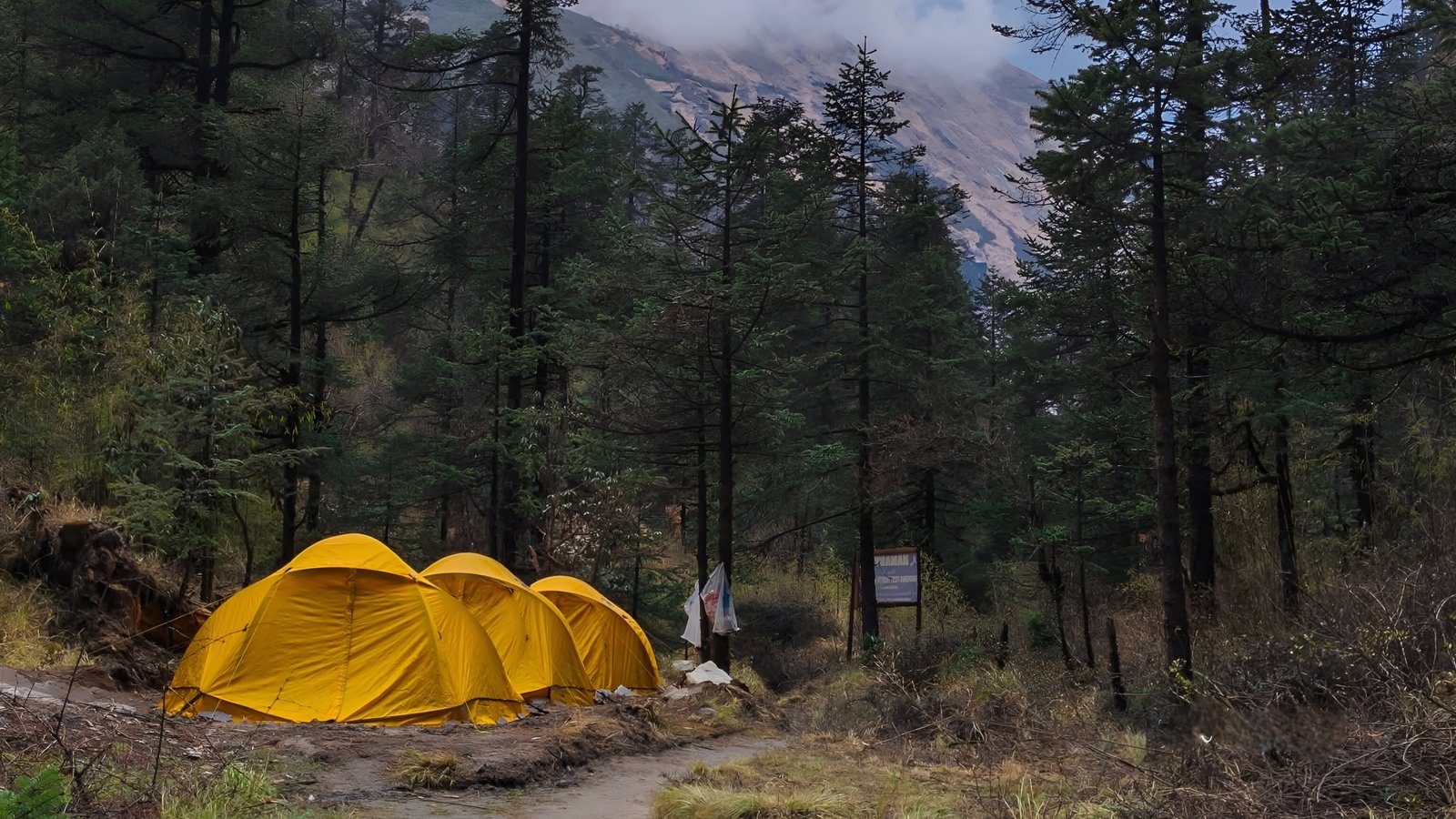 Annapurna North Basecamp Trek Gallery 