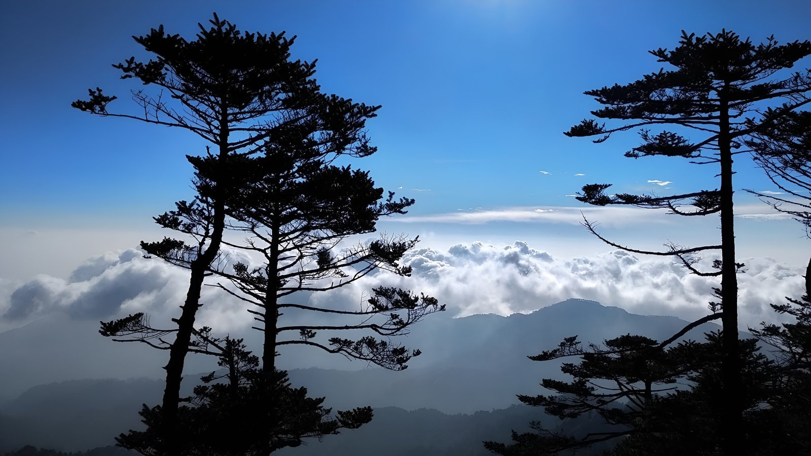 Chintaphu Sandakphu Trek Gallery 