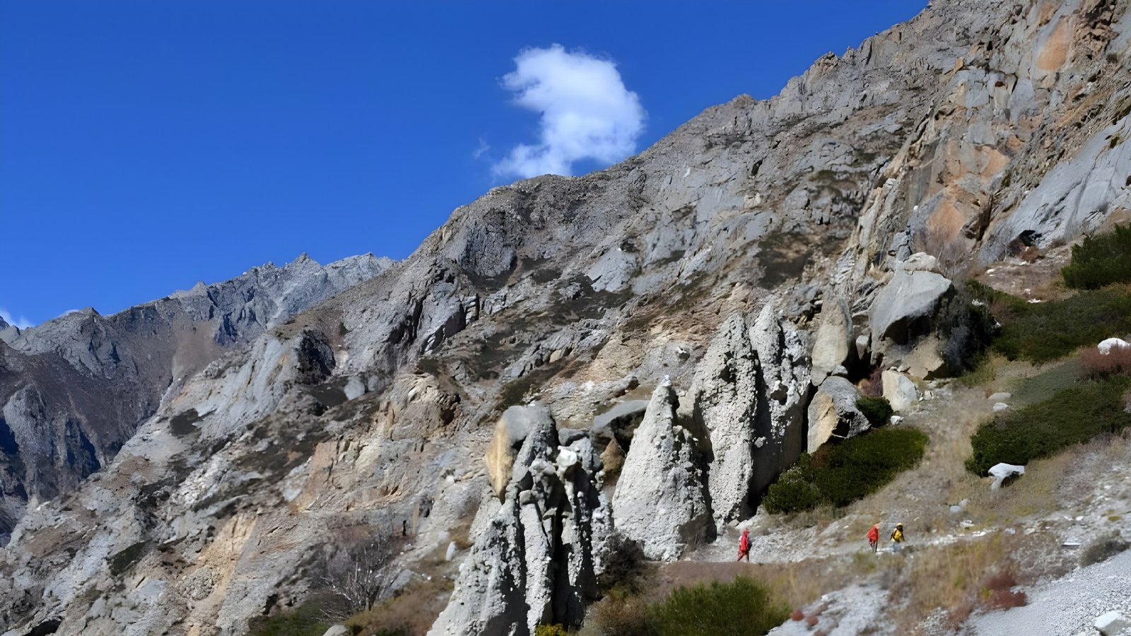 Gomukh Tapovan Meru Basecamp Trek Gallery 