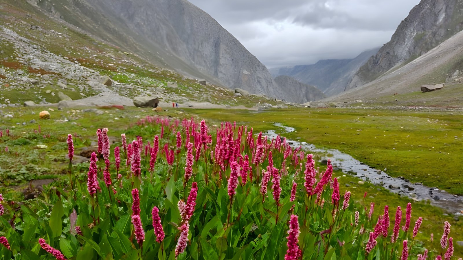 Hampta Pass Trek Gallery 