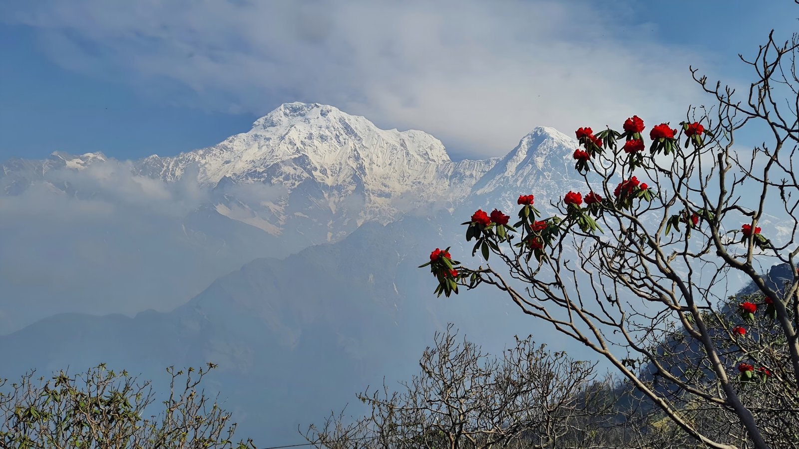 Mardi Himal Trek Gallery