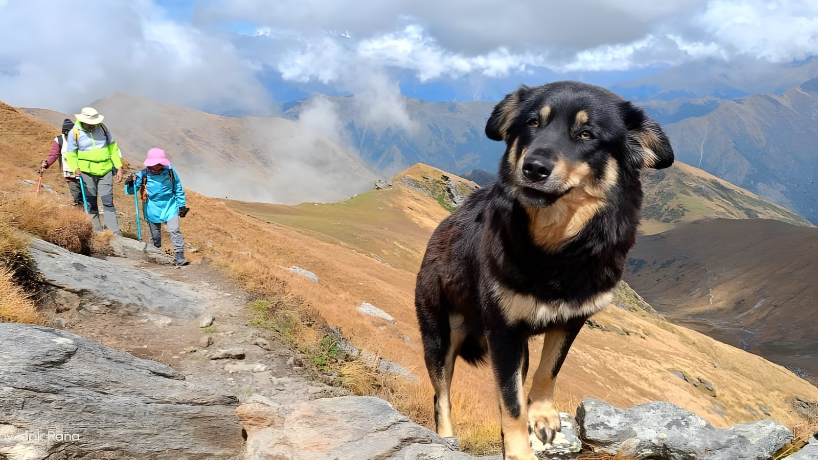 Kuyari Pass Trek Gallery