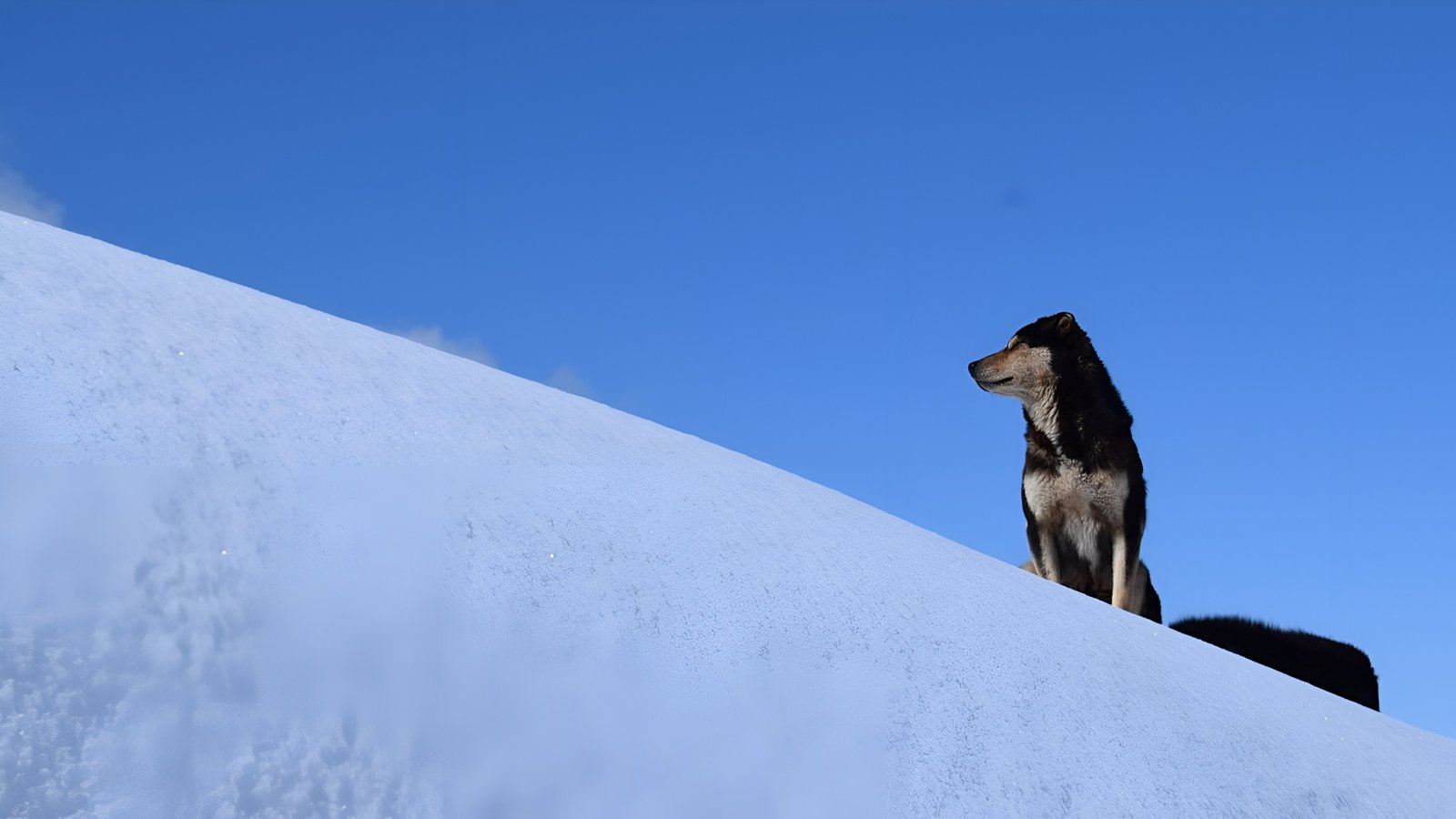 Kuyari Pass Trek Gallery