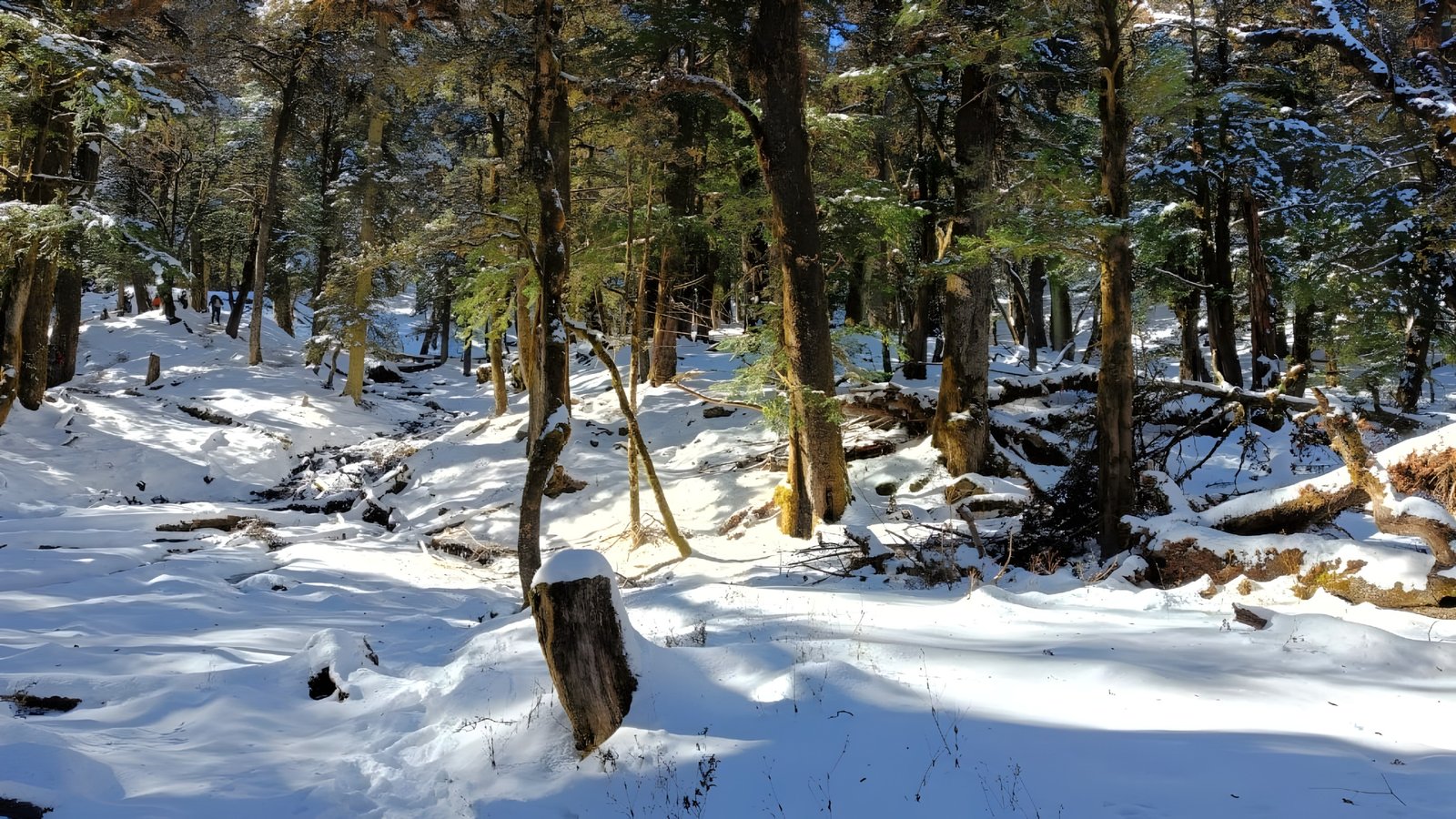 Kuyari Pass Trek Gallery