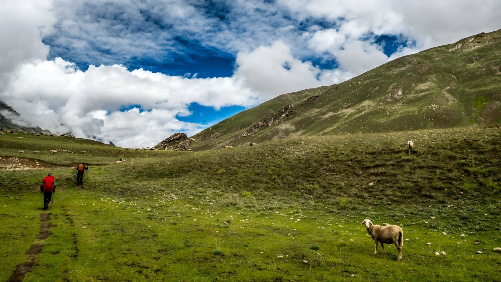 Miyar Vally Trek Gallery