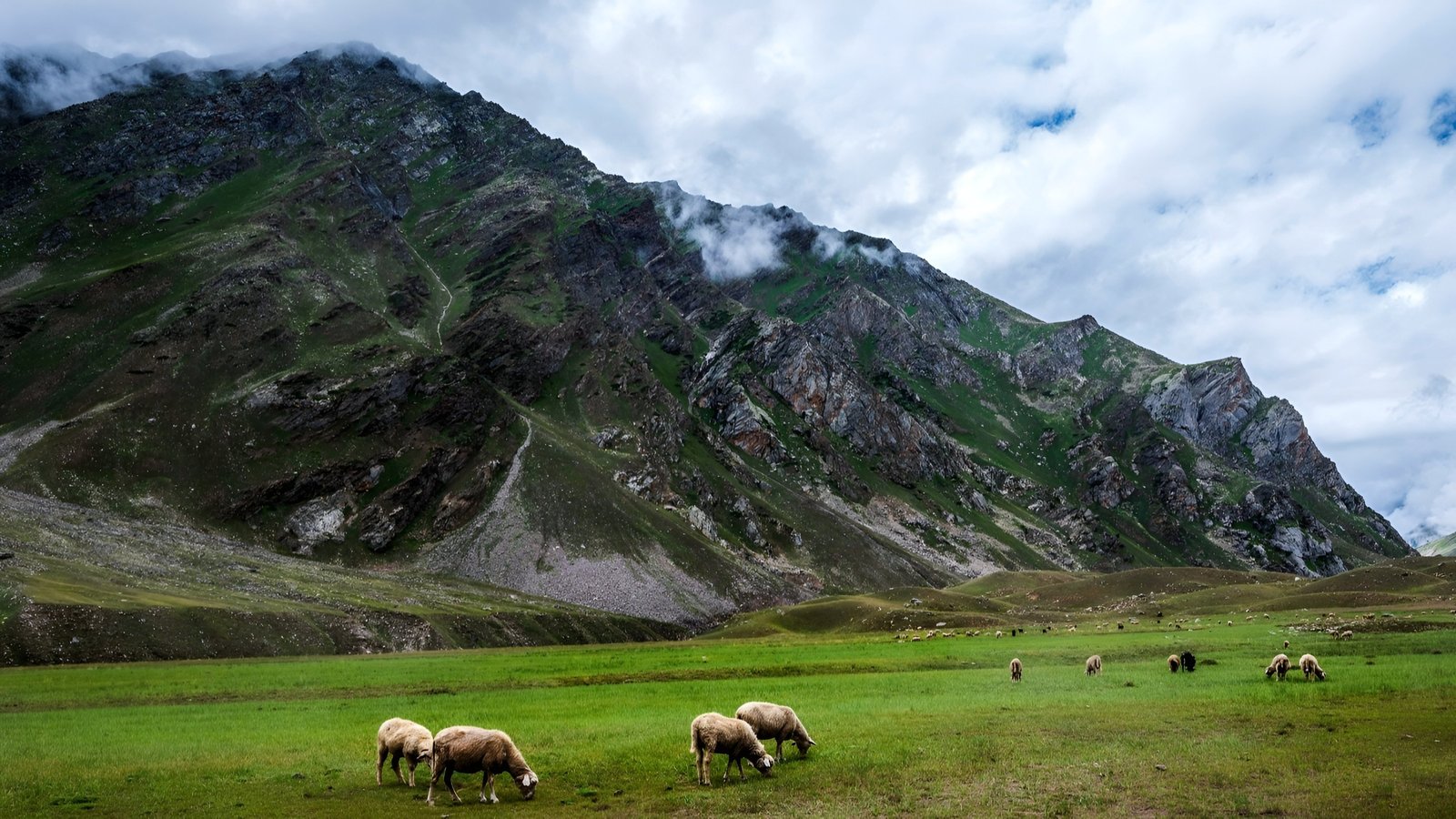 Miyar Vally Trek Gallery