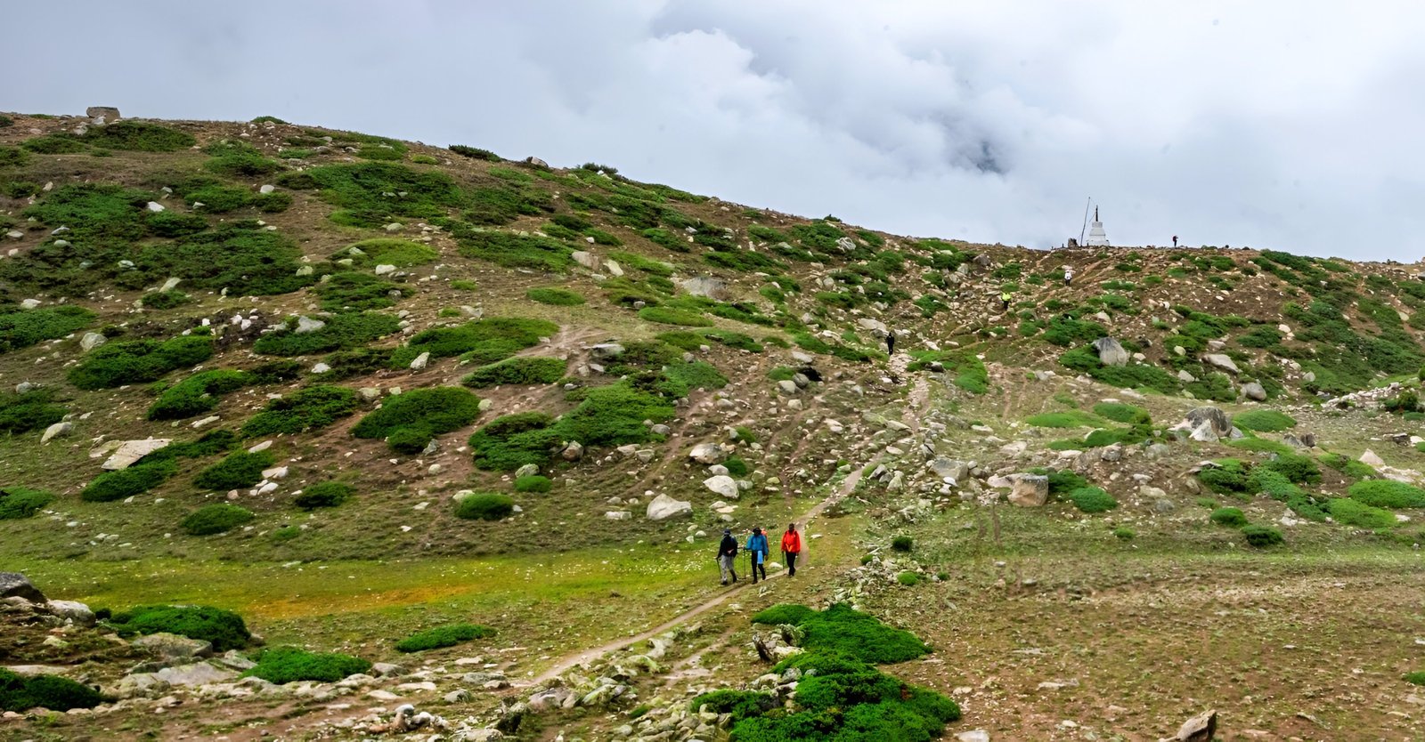 Miyar Vally Trek Gallery