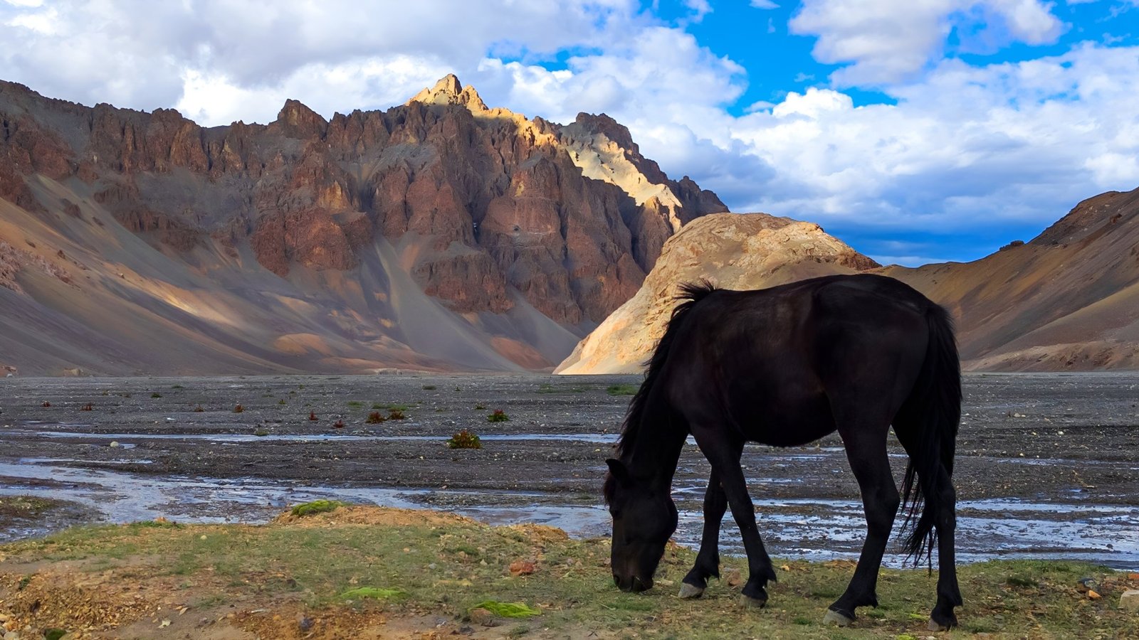 Parang La Trek Gallery 