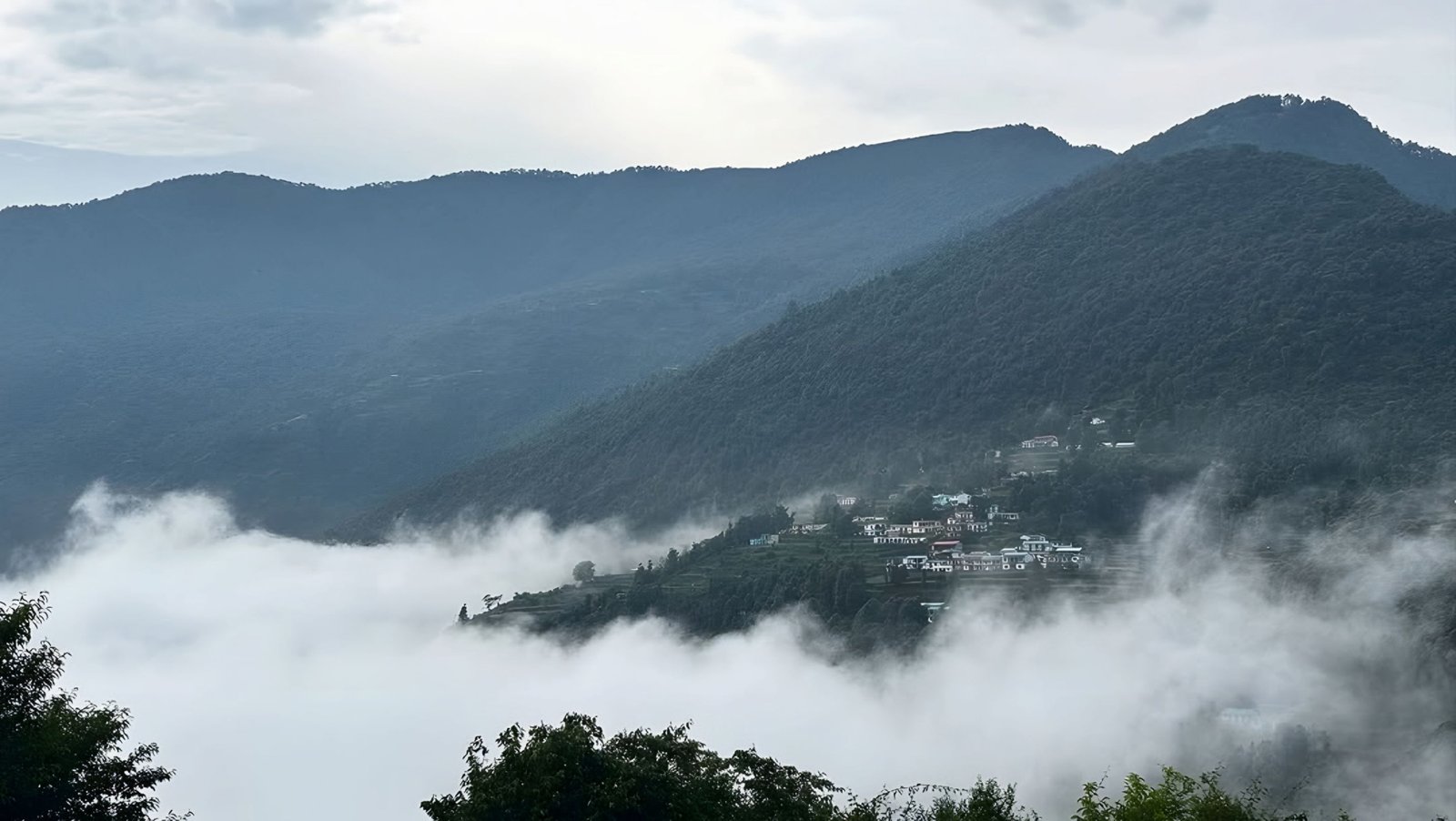 Ali Bedini Bugyal Trek Gallery 