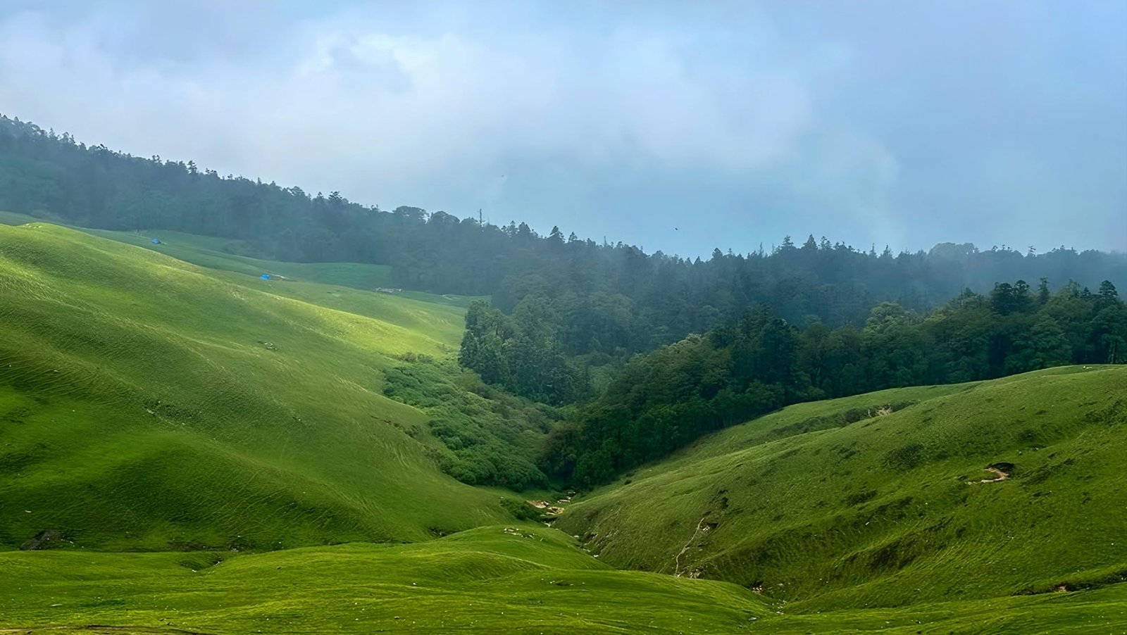 Ali Bedini Bugyal Trek Gallery 