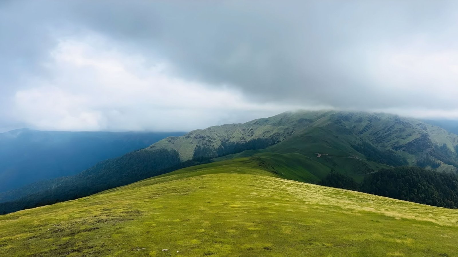Ali Bedini Bugyal Trek Gallery 