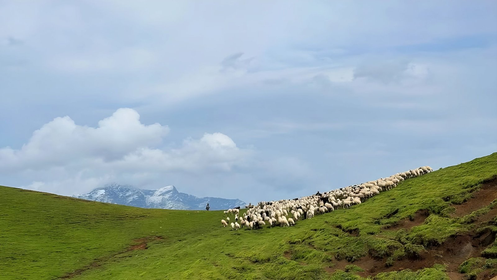 Ali Bedini Bugyal Trek Gallery 