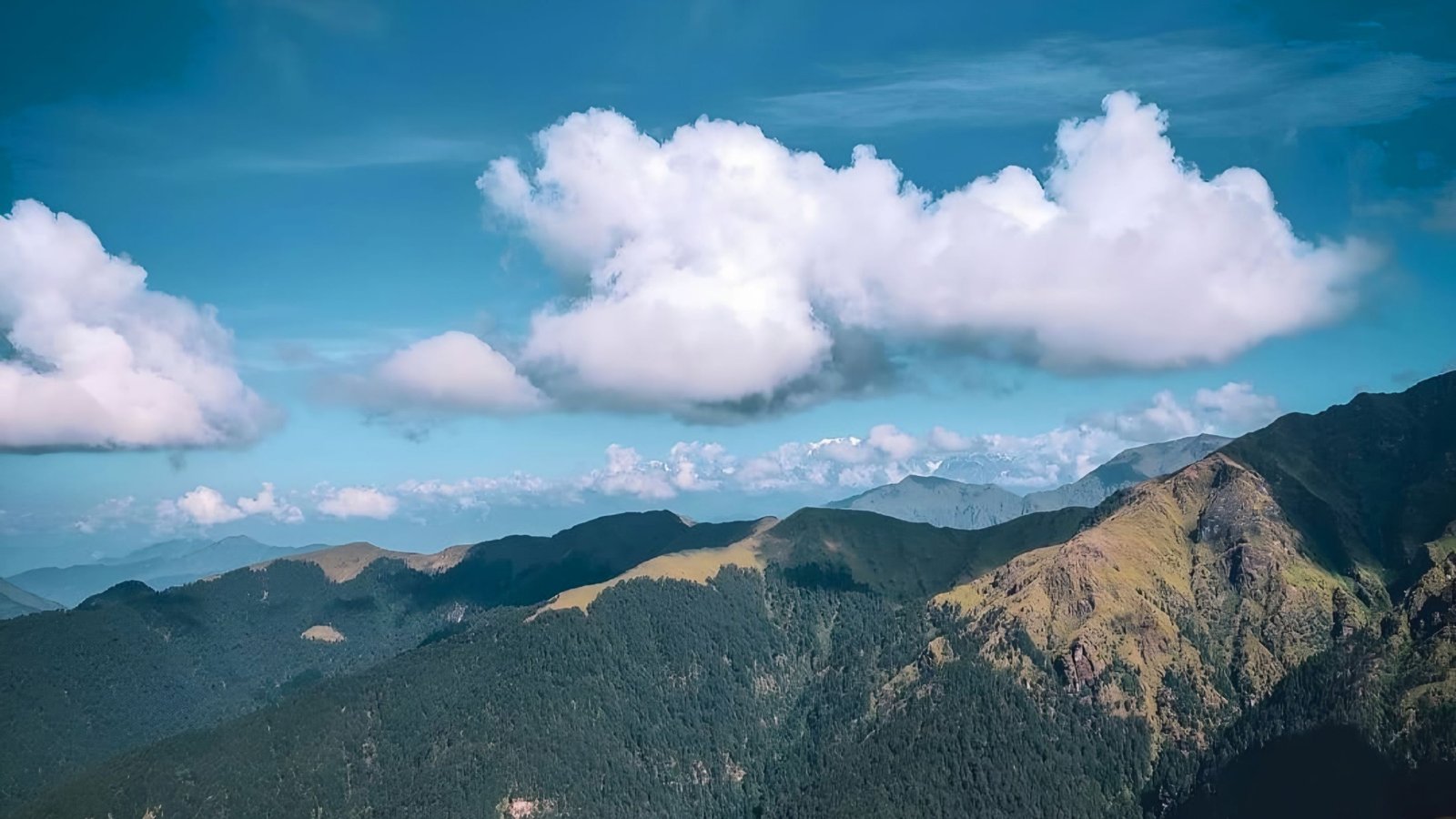 Ali Bedini Bugyal Trek Gallery 