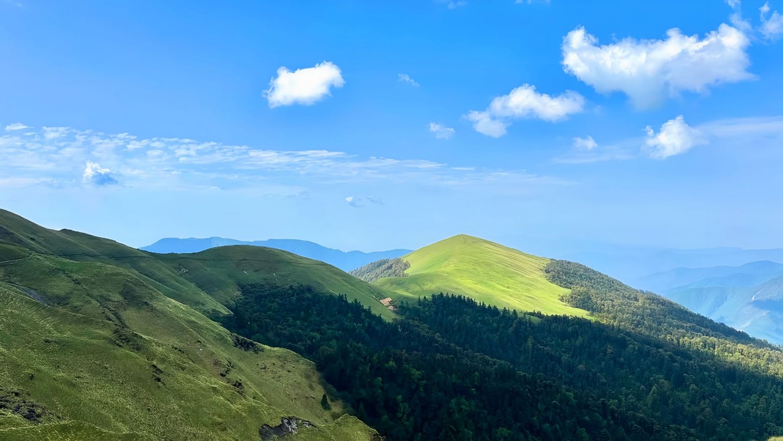 Ali Bedini Bugyal Trek Gallery 